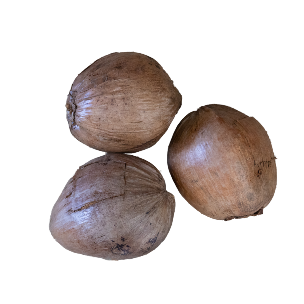 Decorative Coconuts - Image 2