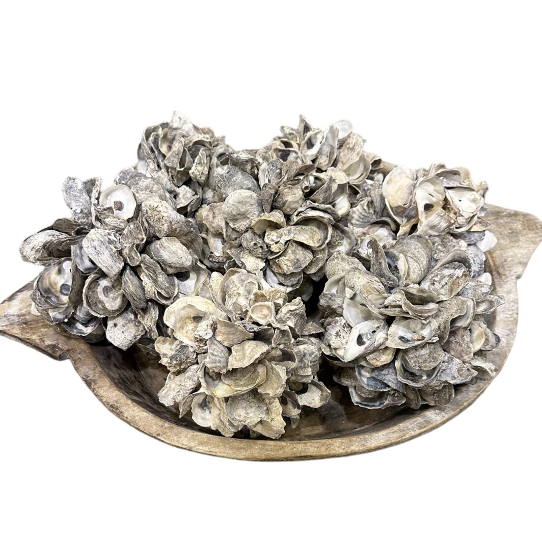 Oyster Clusters - Image 3