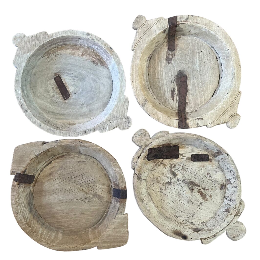 Bleached Indian Parat with metal detail