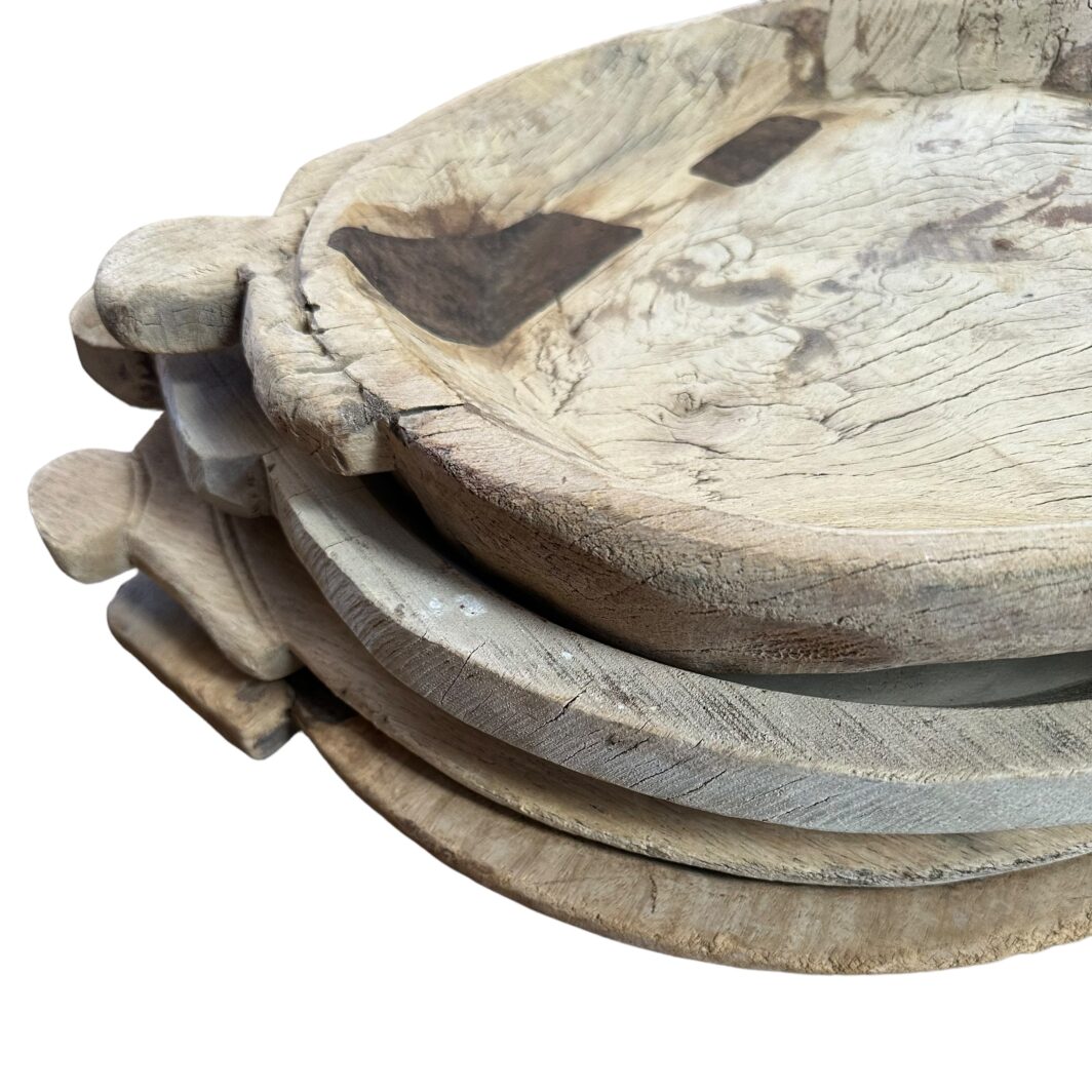 Bleached Indian Parat with metal detail - Image 2
