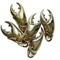 Crab Claw Bottle Opener - Brass